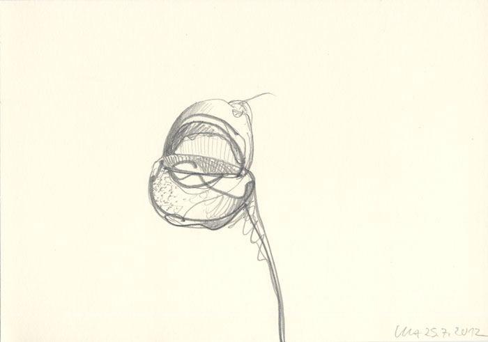 Kleine Bleistiftzeichnung 11