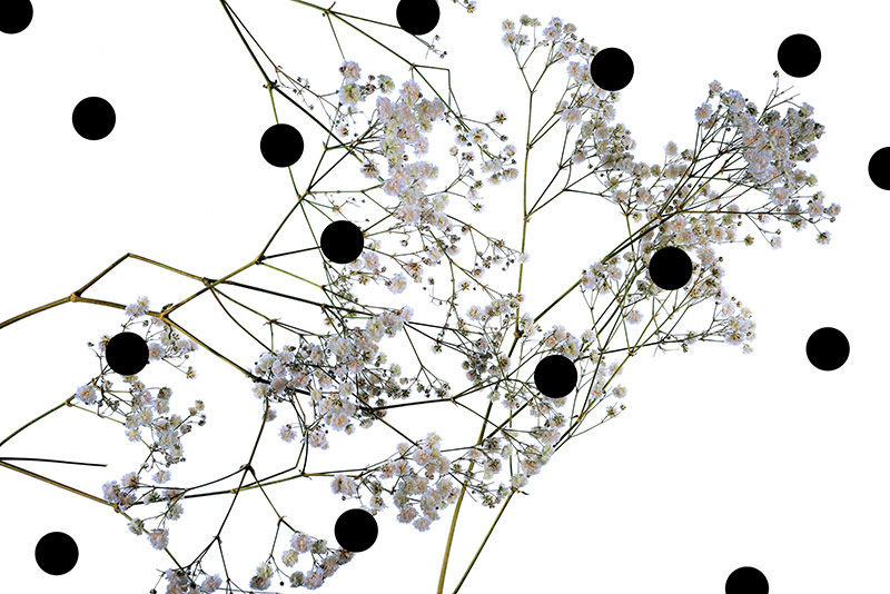 Holes: Les Fleurs du Mal 3